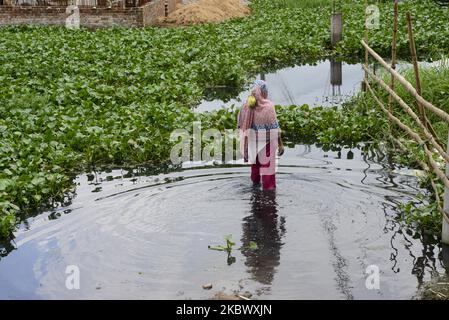 Eine Frau geht am 8. August 2020 im Lowland-Gebiet der Stadt Dhaka in Bangladesch durch das Hochwasser (Foto: Mamunur Rashid/NurPhoto) Stockfoto