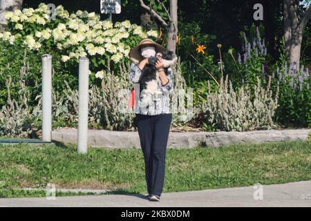 Frau mit Gesichtsmaske, um ihn vor dem neuartigen Coronavirus (COVID-19) zu schützen, während sie ihren Hund am 06. August 2020 in Toronto, Ontario, Kanada, in der Hand hielt. (Foto von Creative Touch Imaging Ltd./NurPhoto) Stockfoto