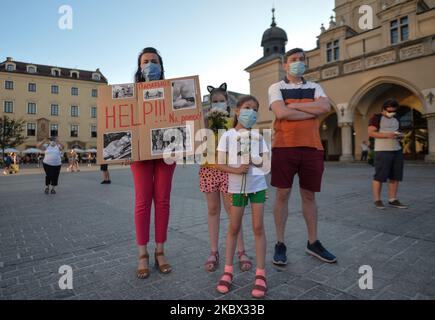 Eine Dame hält „Hilfe!!!“ schild in weißrussisch, englisch und polnisch. Hunderte Mitglieder der lokalen belarussischen Diaspora, Aktivisten und lokale Unterstützer drückten ihre Solidarität mit den Belarussen während der Solidaritätskundgebung aus, die auf dem Hauptmarkt in Krakau organisiert wurde. Am Mittwoch, den 12. August 2020, in Krakau, Polen. (Foto von Artur Widak/NurPhoto) Stockfoto