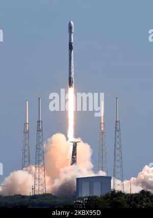 18. August 2020 - Cape Canaveral, Florida, USA - Am 18. August 2020 startet Eine SpaceX Falcon 9-Rakete mit 58 Satelliten für das Starlink-Breitband-Internet-Netzwerk von SpaceX und drei SkySat-Satelliten zur Erdbildgebung von PAD 40 auf der Cape Canaveral Air Force Station in Cape Canaveral, Florida. (Foto von Paul Hennessy/NurPhoto) Stockfoto