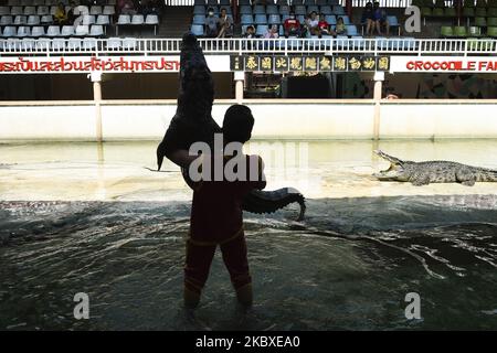 Ein Darsteller, der Krokodile während einer Show auf der Samutprakarn Crocodile Farm and Zoo, Samut Prakan, Thailand, am 22. August 2020 hält. Die Farm und der Zoo behaupten, die größte Krokodilfarm der Welt mit mehr als 40.000 Süß- und Meereskrokodilen zu sein, und bieten Shows wie Krokodilringen, um Touristen anzuziehen, und kehren inmitten des Ausbruchs des Coronavirus offen zurück. (Foto von Anusak Laowias/NurPhoto) Stockfoto