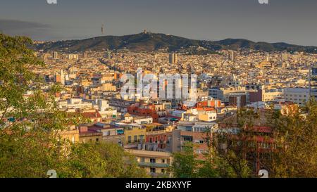 Stadt Barcelona bei Sonnenaufgang, vom Aussichtspunkt Miramar aus gesehen (Barcelona, Katalonien, Spanien) ESP: Ciudad de Barcelona al amanecer, vista desde Montjuïc Stockfoto