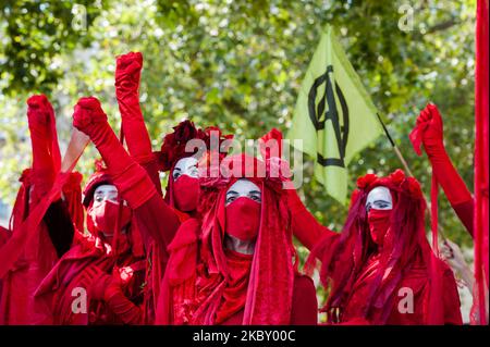 Mitglieder der Roten Brigade XR schließen sich am ersten Tag der Protestaktion zur Unterstützung des Klima- und ökologischen Notstands am 01. September 2020 auf dem Parliament Square Umweltaktivisten der Extinction Rebellion an, während Abgeordnete nach der Sommerpause in London, England, in das Unterhaus zurückkehren. Extinction Rebellion plant, die Straßen in London, Manchester und Cardiff über einen Zeitraum von 10 Tagen zu blockieren, während sie die Abgeordneten dazu aufruft, eine Anstiftungs-Gesetzesvorlage für den Klimawandel zu unterstützen, die die Fortschritte Großbritanniens bei der Reduzierung seiner CO2-Emissionen beschleunigen würde, und eine nationale Bürgerversammlung über die Krise abhalten würde. (Foto von Wiktor Stockfoto