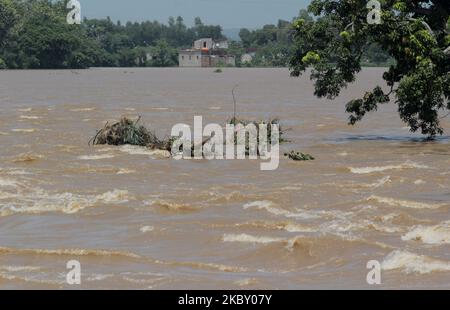 Die vom Hochwasser betroffenen Dorfbewohner werden am 1. September 2020 in der Nähe der gebrochenen Flusswälle und der überfließenden Punkte der tief liegenden Flüsse in Mahanadi, Indien, gesehen. Da die Überschwemmungssituation sich ausbreitet und Hunderte von Dörfern nach der Freisetzung des Hochwasserwassers in den Mahanadi-Fluss durch heftigen Regenguss in den oberen Einzugsgebieten aufgrund des niedrigen Drucks in der Bucht von Bengalen Meer einmarschiert sind, verursacht dies Überschwemmungen in den tief liegenden Gebieten der Küstengebiete Des Staates und zwischen den paar Tagen von 19 Menschen getötet (Foto: Str/NurPhoto) Stockfoto