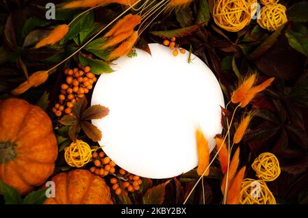 thanksgiving-Tisch, getrocknete Blattzusammensetzung, Gemüsegerahmen, runder Rahmen, runder Mockup, Werbefläche, herbstlicher Hintergrund, Kürbis-Mockup, Gemüsegerichten, herbstlicher l Stockfoto