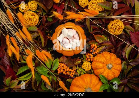 Thanksgiving gefüllt Herbst festlichen Tisch Hintergrund mit Kürbis Draufsicht Äste von Sanddornbeeren ein Kürbis-förmigen Topf Stockfoto