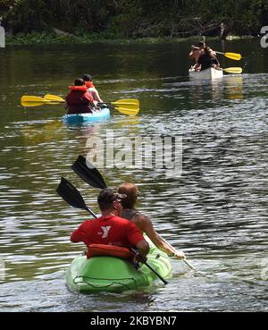 Leute paddeln Kajaks am Labor Day im Wekiwa Springs State Park am 7. September 2020 in Apopka, Florida. Staatsbeamte hoffen, dass Kapazitätsmassen wie diese nicht zu einem Anstieg von Coronavirus-Fällen führen. (Foto von Paul Hennessy/NurPhoto) Stockfoto