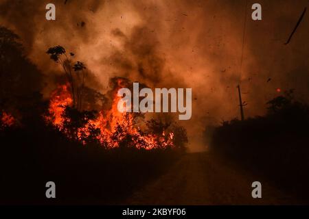 Ein außer Kontrolle geraten Waldbrand brennt am 19. August im ländlichen Pocone, Mato Grosso, Brasilien, in das Gebiet des brasilianischen Pantanal. 2020 bei dem größten jemals im reichen Biom aufgezeichneten Feuer leidet der brasilianische Pantanal - eine der größten tropischen Auen der Welt - seit Ende Juli unter den schlimmsten Waldbränden in seiner registrierten Geschichte. Mehr als 12 % oder 16,500 Quadratkilometer (fast die Größe von Kuweit) wurden bereits verbrannt, und die Situation könnte sich erst im Oktober verbessern, wenn es voraussichtlich regnen wird. (Foto von Gustavo Basso/NurPhoto) Stockfoto