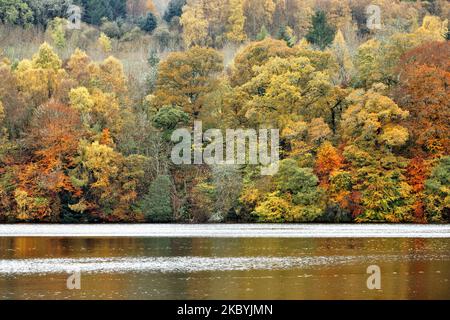 Pitlochry Perthshire Schottland Loch Faskally mit den Bäumen in herrlichen Herbstfarben Stockfoto