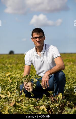 Porträt von Sebastien Dromigny in seiner Rübenfarm. Das Rübenvergilbungsvirus kann Ertragsverluste von bis zu 30 % und 50 % verursachen und die Zukunft der Branche unmittelbar gefährden. Am 11. September 2020 in Saint-Just-en-Brie, Frankreich. (Foto von Emeric Fohlen/NurPhoto) Stockfoto