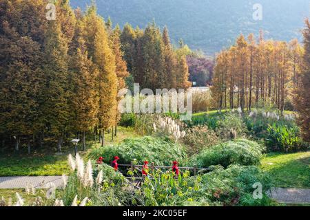 Guiyang. 4.. November 2022. Dieses Luftbild zeigt Zhou Yuqing (1. R) und andere freiwillige Helfer im Umweltschutz, die am 4. November 2022 im Feuchtgebiet des Huaxi-Nationalparks in Guiyang, der Hauptstadt der südwestlichen Provinz Guizhou, patrouillieren. Zhou Yuqing, 70, ist seit 2008 ehrenamtlich für Umweltschutz tätig. 2014 rief sie einen ehrenamtlichen Club aus Rentnern und älteren Umweltschützern auf, um den Schutz von Feuchtgebieten zu fördern. In den letzten 14 Jahren haben Zhou und 167 andere Mitglieder ihres Teams mehr als 13.000 Stunden ehrenamtlicher Arbeit vermeldet. Kredit: Ou Dongqu/Xinhua/Alamy Live Nachrichten Stockfoto