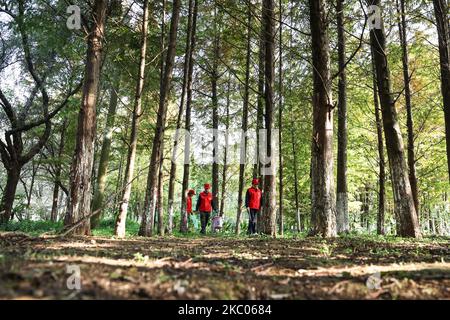 Guiyang. 4.. November 2022. Zhou Yuqing (1. R) und andere freiwillige Helfer im Umweltschutz patrouillieren am 4. November 2022 im Feuchtgebiet des Huaxi-Nationalparks in Guiyang, der Hauptstadt der südwestlichen Provinz Guizhou, China. Zhou Yuqing, 70, ist seit 2008 ehrenamtlich für Umweltschutz tätig. 2014 rief sie einen ehrenamtlichen Club aus Rentnern und älteren Umweltschützern auf, um den Schutz von Feuchtgebieten zu fördern. In den letzten 14 Jahren haben Zhou und 167 andere Mitglieder ihres Teams mehr als 13.000 Stunden ehrenamtlicher Arbeit vermeldet. Kredit: Ou Dongqu/Xinhua/Alamy Live Nachrichten Stockfoto