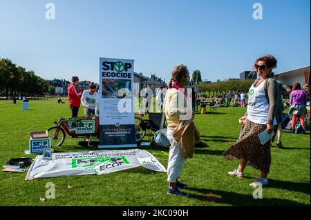 Klimaaktivisten teilen sich während des Extinction Rebellion Camp am Museumplein in Amsterdam am 19.. September 2020 Flugblätter. (Foto von Romy Arroyo Fernandez/NurPhoto) Stockfoto