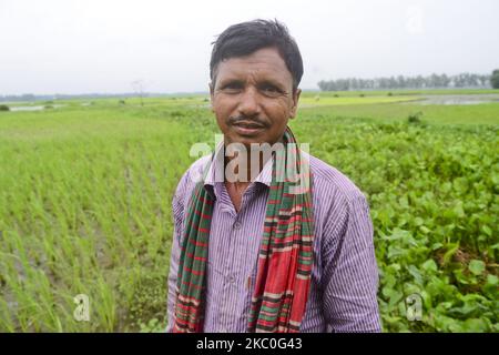Ein Landwirt posiert am 24. September 2020 auf einem abbigen Feld im Distrikt Jamalpur, Bangladesch, für ein Bild. (Foto von Mamunur Rashid/NurPhoto) Stockfoto