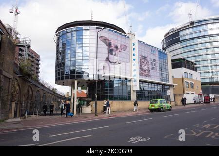 Battersea Dogs & Cats Home, Battersea Park Road, London, SW8, England, GROSSBRITANNIEN Stockfoto