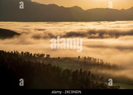 Eine wunderschöne Aufnahme einer Silhouette von Bergen und Nebel, die Bäume in Overberg bedecken Stockfoto