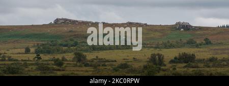 Panorama der schönen grünen Moorlandschaft mit wilden Wiese voller Heide und felsigen Hügeln, Parc naturel regional d'Armorique, Bretagne, Frankreich Stockfoto