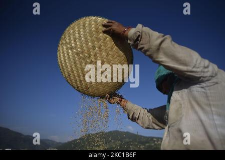 Am Donnerstag, den 08. Oktober 2020, trennt eine Frau in Sankhu, Kathmandu, Nepal, Reiskörner von Gluten oder Schalen. Die Landwirtschaft ist nach wie vor eine wichtige Wirtschaftstätigkeit für das Binnenland, wobei Weizen und Reis die Hauptnahrungsmittelkulturen sind. (Foto von Narayan Maharjan/NurPhoto) Stockfoto