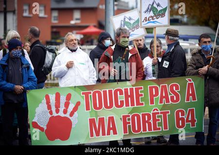 Auf dem Banner steht: „Berühre meinen Wald nicht“. Mehrere Verbände, politische Parteien und Menschen riefen zu einem marsch von Capvern nach Lannemezan in den Pyrenäen auf, als ein globales Unternehmen, Florian, ein riesiges Sägewerk in der Nähe der Pyrenäenstadt Lannemezan bauen will. Das Sägewerk wird voraussichtlich fast 400,000 Kubikmeter Buchenholz pro Jahr behandeln. Dafür muss Florian in allen französischen Pyrenäen Buchen schneiden. Sie beabsichtigt, beschneidete Wälder zu räumen. Die Demonstranten kamen aus fast allen französischen Pyrenäen. Am 11.. Oktober 2020 in Lannemezan. Frankreich. (Foto von Alain Pitton/NurPhoto) Stockfoto