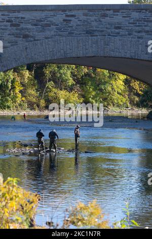 Fischer versuchen, die Fische unter dem Damm zu fangen. Fische, die versuchen, den ersten Damm am Humber River in der Nähe der U-Bahn-Station Old Mill in Etobicoke während ihrer Brutsaison in Toronto, Kanada, hoch- und überzufahren (Foto: Anatoliy Cherkasov/NurPhoto) Stockfoto