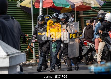Polizeibeamte der Bereitschaftspolizei verhaften einen Protestierenden, der am 13. Oktober 2020 bei einer Protestkundgebung gegen das Omnibus-Gesetz in Magelang, Zentraljava, Indonesien, für Unruhen sorgte. Massenproteste gegen die Arbeitsreformen der Regierung in einem Gesetz zur Schaffung von Arbeitsplätzen, die befürchten, dass Investoren auf Kosten der Arbeitsrechte und der Umwelt begünstigt werden. (Foto von Rizqullah Hamiid/NurPhoto) Stockfoto