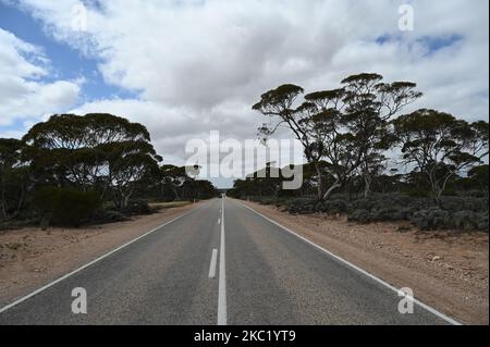 Wir reisten durch das australische Outback Stockfoto