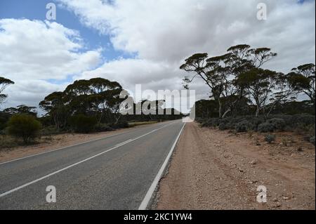 Wir reisten durch das australische Outback Stockfoto