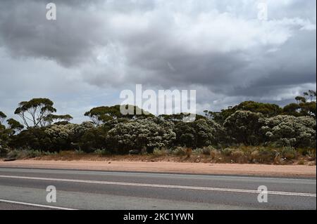 Wir reisten durch das australische Outback Stockfoto