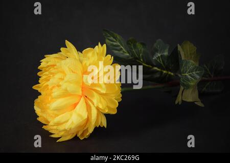 Künstliche gelbe Chrysantheme auf schwarzem Grunge-Hintergrund Stockfoto