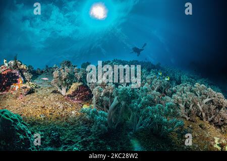 Cross Wreck, Manokwari, Papua, Indonesien. WW2 Schiffbruch Stockfoto