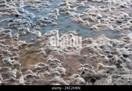 Wasser füllt sich in den Einbrüchen und Spalten auf diesem steinernen Boden in der Nähe des Wasserrandes. Bildet interessanten Wasser- und Steinhintergrund oder Textur. Stockfoto