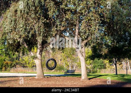 Gummireifenschaukel hängt an einem Baum in einem Park. Konzept der glücklichen Kindheit, Nostalgie, Erinnerung, Heimat. Stockfoto