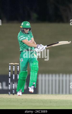 MEG Lanning of the Stars Fledermäuse beim WBBL-Spiel der Women's Big Bash League zwischen den Stürmer von Adelaide und den Stars von Melbourne im Blacktown International Sportspark am 03. November 2020 in Sydney, Australien. (Foto von Izhar Khan/NurPhoto) Stockfoto