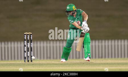 MEG Lanning of the Stars Fledermäuse beim WBBL-Spiel der Women's Big Bash League zwischen den Stürmer von Adelaide und den Stars von Melbourne im Blacktown International Sportspark am 03. November 2020 in Sydney, Australien. (Foto von Izhar Khan/NurPhoto) Stockfoto