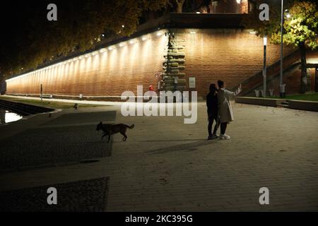 Zwei Frauen machen einen Selfi, während sie mit einem Hund spazieren. In normalen Zeiten sind die Ufer der Garonne voller Menschen. Da Kinos, Theater, Cafés, Restaurants geschlossen sind und die Franzosen wieder einen Reiseausweis brauchen und für diese 2.-Sperre zu Hause bleiben, sind die Straßen von Toulouse am Abend und in der Nacht fast leer. Die Sperre soll (für den Moment) am 1.. Dezember enden. Es gibt weniger Menschen auf der Straße als an normalen Tagen, da die Aufenthaltsrichtlinien durchgesetzt werden, selbst wenn diese zweite Sperre weniger streng ist als die erste im Frühjahr. Die französische Regierung nahm Stockfoto