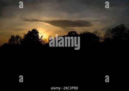 Am ersten Wochenende der zweiten nationalen Sperre geht die Sonne auf den Wanstead Flats, aufgrund der zweiten Welle von Covid-19, am 7. November 2020 in London unter. (Foto von Alberto Pezzali/NurPhoto) Stockfoto