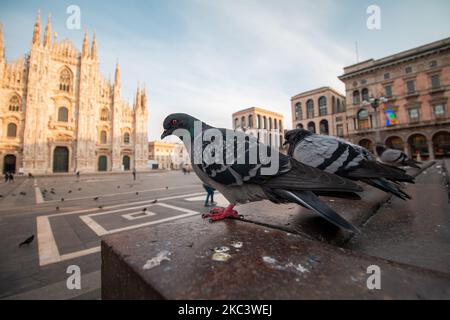 Gesamtansicht der Piazza Del Duomo während der neuen Lockdown in der roten Zone der Lombardei, die von der italienischen Regierung gegen die Coronavirus-Pandemie (Covid-19) am 10. November 2020 in Mailand, Italien, verhängt wurde. (Foto von Alessandro Bremec/NurPhoto) Stockfoto