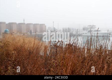 Chicago Herbst Seeufer mit Nebel Stockfoto