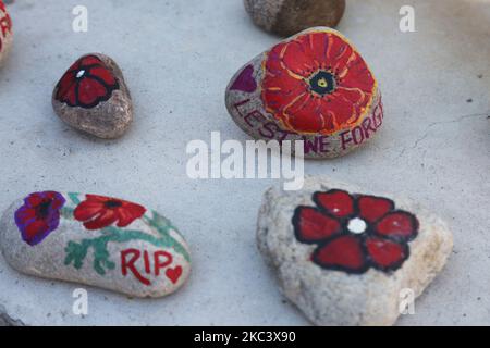 Kleine Steine, die mit Mohnblumen bemalt sind, erinnern Kanadier an Mitglieder des Militärs, die in vergangenen und gegenwärtigen Kriegen während einer Gedenkfeier am 11. November 2020 in Richmond Hill, Ontario, Kanada, gedient haben. Diese Zeremonie wurde reduziert, um nur 25 Personen die Teilnahme zu ermöglichen, und die Parade wurde aufgrund der COVID-19-Pandemie abgesagt. (Foto von Creative Touch Imaging Ltd./NurPhoto) Stockfoto