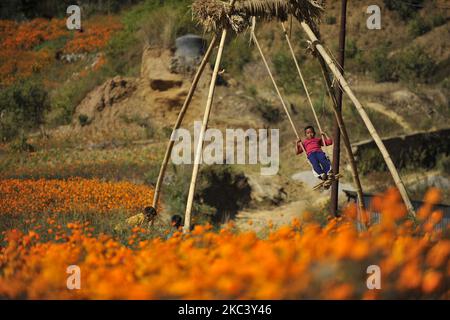 Kinder spielen traditionelle Schaukel als blühende Ringelblumen gesehen für das Tihar Festival in Kathmandu, Nepal am Donnerstag, 12. November 2020. (Foto von Narayan Maharjan/NurPhoto) Stockfoto