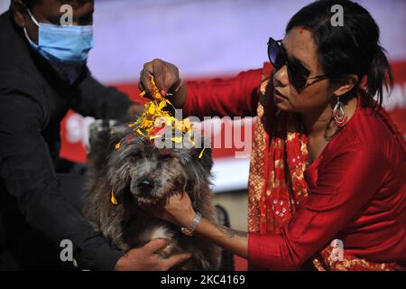 Sneha Shrestha, die Gründerin von Sneha's Care, führt am Kukur Tihar oder Hundefest eine Puja gegen körperlich Behinderte durch, während der Prozession der Tihar-Feierlichkeiten in Kathmandu, Nepal, am Samstag, den 14. November 2020. Tihar ist ein hinduistisches Fest, das in Nepal 5 Tage lang gefeiert wird. Nepalesische Menschen verehren den Hund, füttern am zweiten Tag von tihar leckeres Essen. Dog ist ein vertrauenswürdiger Wächter des Menschen. Tihar-Marke als das Fest der Lichter, wie die Menschen schmücken ihre Bewohner mit verschiedenen Blumengirlanden, Öllampen und bunten Glühbirnen. (Foto von Narayan Maharjan/NurPhoto) Stockfoto