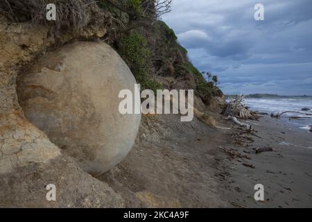 Moeraki-Felsbrocken werden am Koekohe Beach in Moeraki, Neuseeland, am 21. November 2020 gesehen. Nach Angaben von Wissenschaftlern begann die Moeraki-Boulder-Formation vor etwa 60 Millionen Jahren. (Foto von Sanka Vidanagama/NurPhoto) Stockfoto
