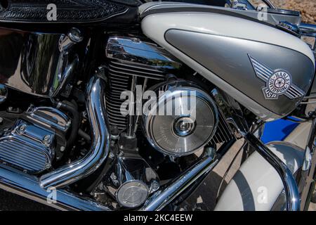 Der Chrom-Motor eines großen Harley Davidson Evo Motorrad Stockfoto