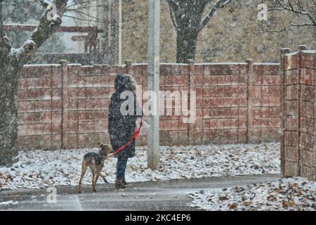 Frau, die am 22. November 2020 während eines Schneefalls in Toronto, Ontario, Kanada, mit ihrem Hund herumläuft. Es wird erwartet, dass der Sturm im Großraum Toronto zwischen 5-10 Zentimetern Schnee fallen wird, bevor er in Regen übergeht. (Foto von Creative Touch Imaging Ltd./NurPhoto) Stockfoto