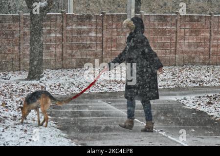 Frau, die am 22. November 2020 während eines Schneefalls in Toronto, Ontario, Kanada, mit ihrem Hund herumläuft. Es wird erwartet, dass der Sturm im Großraum Toronto zwischen 5-10 Zentimetern Schnee fallen wird, bevor er in Regen übergeht. (Foto von Creative Touch Imaging Ltd./NurPhoto) Stockfoto