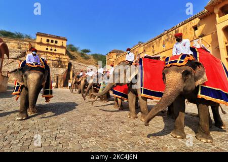 Mahouts warten darauf, dass Touristen im historischen Amer Fort Elefantenritte anbieten, da sie ihren Dienst nach über 8 Monaten Aussetzung aufgrund der COVID-19 Pandemie in Jaipur, Rajasthan, Indien, am Dienstag, den 24. November 2020, wieder aufgenommen haben. (Foto von Vishal Bhatnagar/NurPhoto) Stockfoto