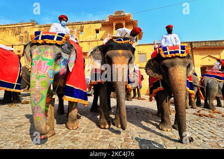 Mahouts warten darauf, dass Touristen im historischen Amer Fort Elefantenritte anbieten, da sie ihren Dienst nach über 8 Monaten Aussetzung aufgrund der COVID-19 Pandemie in Jaipur, Rajasthan, Indien, am Dienstag, den 24. November 2020, wieder aufgenommen haben. (Foto von Vishal Bhatnagar/NurPhoto) Stockfoto