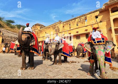 Mahouts warten darauf, dass Touristen im historischen Amer Fort Elefantenritte anbieten, da sie ihren Dienst nach über 8 Monaten Aussetzung aufgrund der COVID-19 Pandemie in Jaipur, Rajasthan, Indien, am Dienstag, den 24. November 2020, wieder aufgenommen haben. (Foto von Vishal Bhatnagar/NurPhoto) Stockfoto