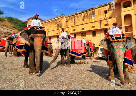 Mahouts warten darauf, dass Touristen im historischen Amer Fort Elefantenritte anbieten, da sie ihren Dienst nach über 8 Monaten Aussetzung aufgrund der COVID-19 Pandemie in Jaipur, Rajasthan, Indien, am Dienstag, den 24. November 2020, wieder aufgenommen haben. (Foto von Vishal Bhatnagar/NurPhoto) Stockfoto