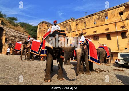 Mahouts warten darauf, dass Touristen im historischen Amer Fort Elefantenritte anbieten, da sie ihren Dienst nach über 8 Monaten Aussetzung aufgrund der COVID-19 Pandemie in Jaipur, Rajasthan, Indien, am Dienstag, den 24. November 2020, wieder aufgenommen haben. (Foto von Vishal Bhatnagar/NurPhoto) Stockfoto